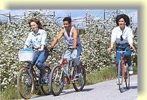 Bikergruppe