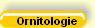 Ornitologie